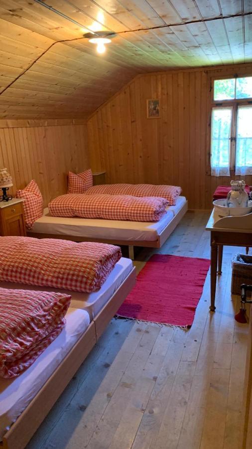 Отель Berghaus Iffigenalp Ленк Экстерьер фото